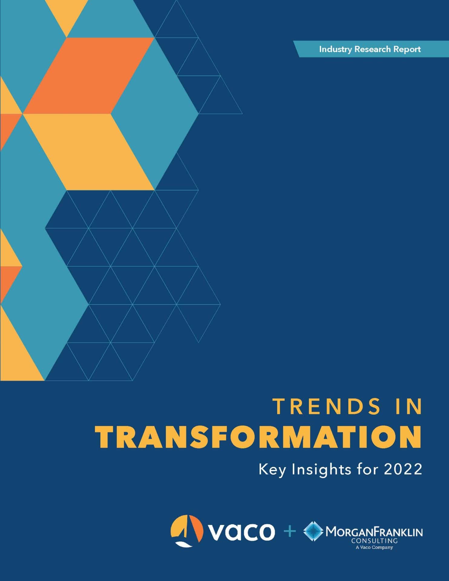 Vaco Trends in Transformation 2022 eBook